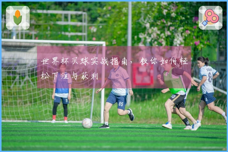世界杯买球实战指南，教你如何轻松下注与获利