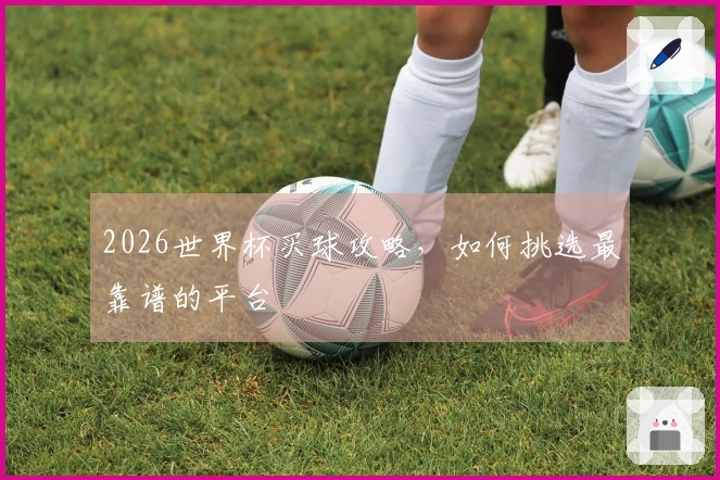 2026世界杯买球攻略，如何挑选最靠谱的平台