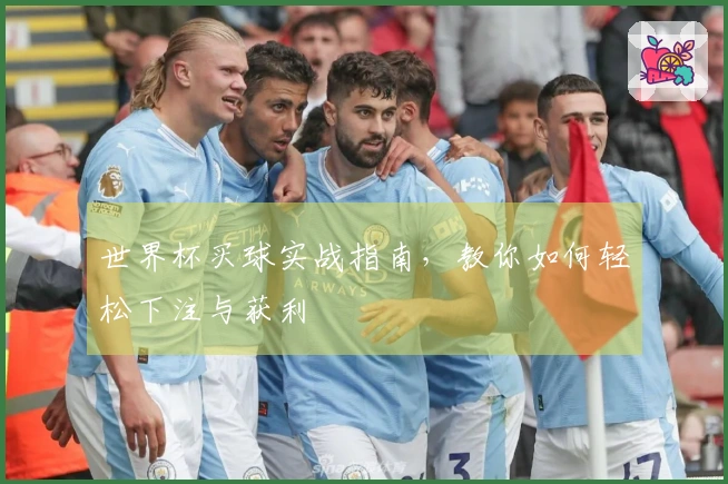 世界杯买球实战指南，教你如何轻松下注与获利